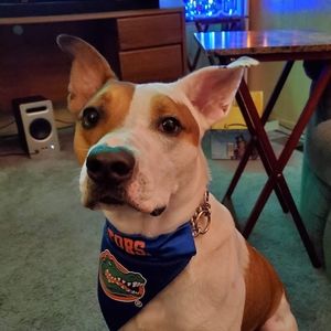 Meet your Posher, Wesley